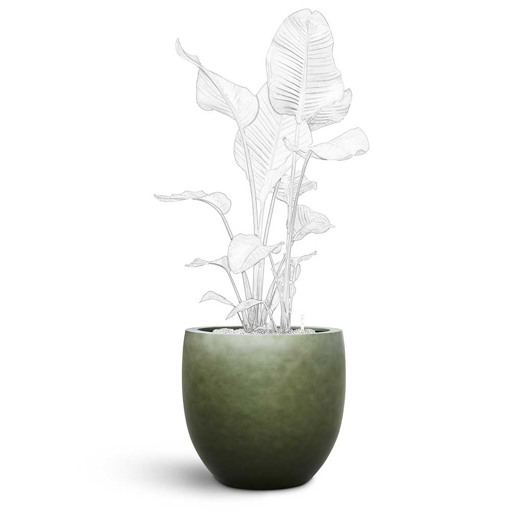 Gradient Balloon Planter - XL Plant Display