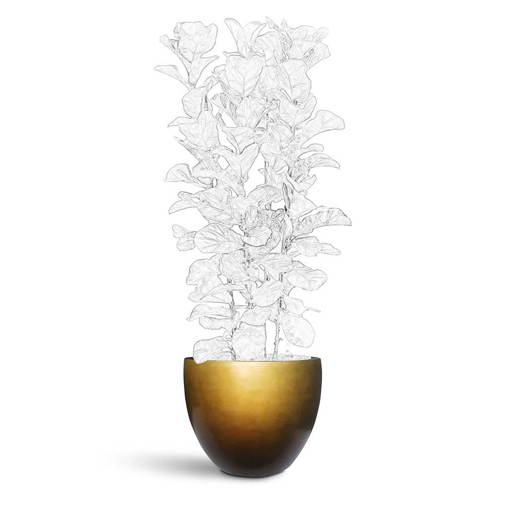 Gradient Couple Planter - XL Plant Display