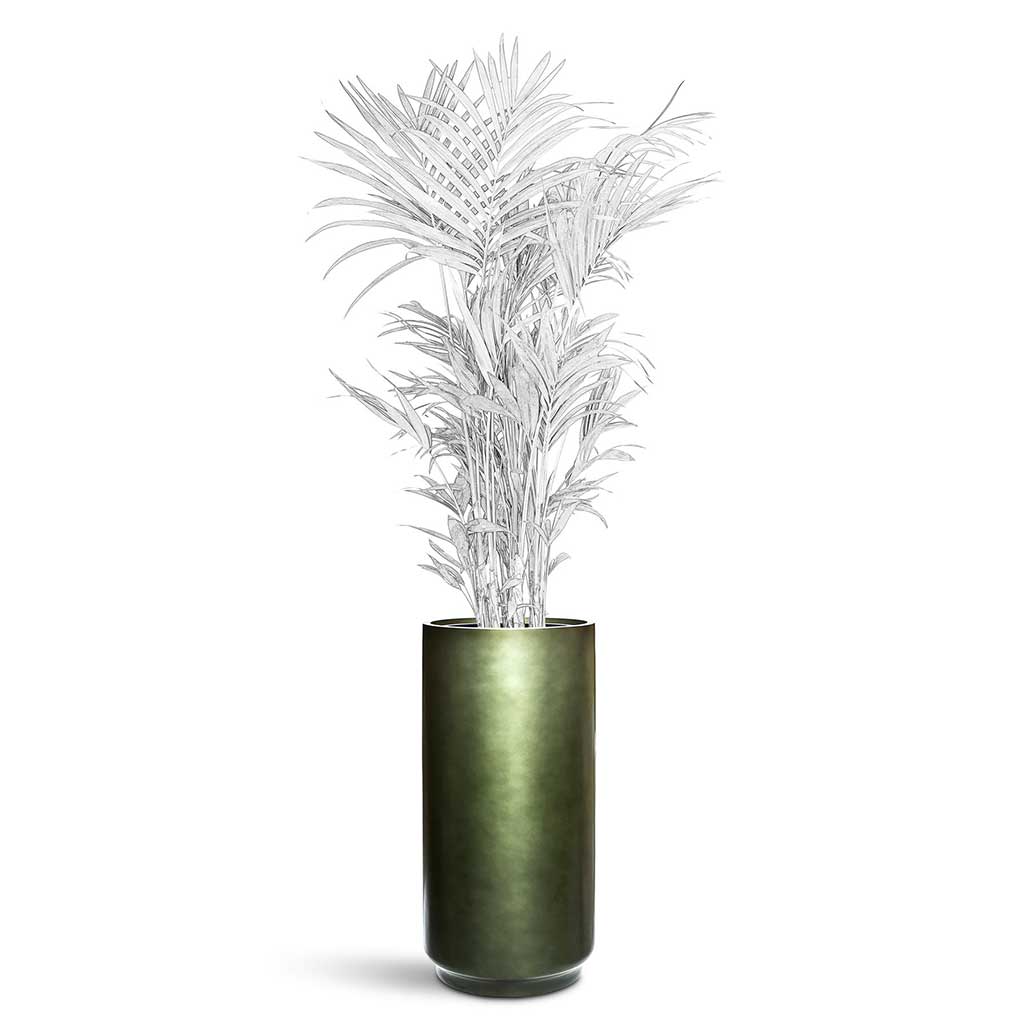 Gradient Cylinder Planter - XL Plant Display