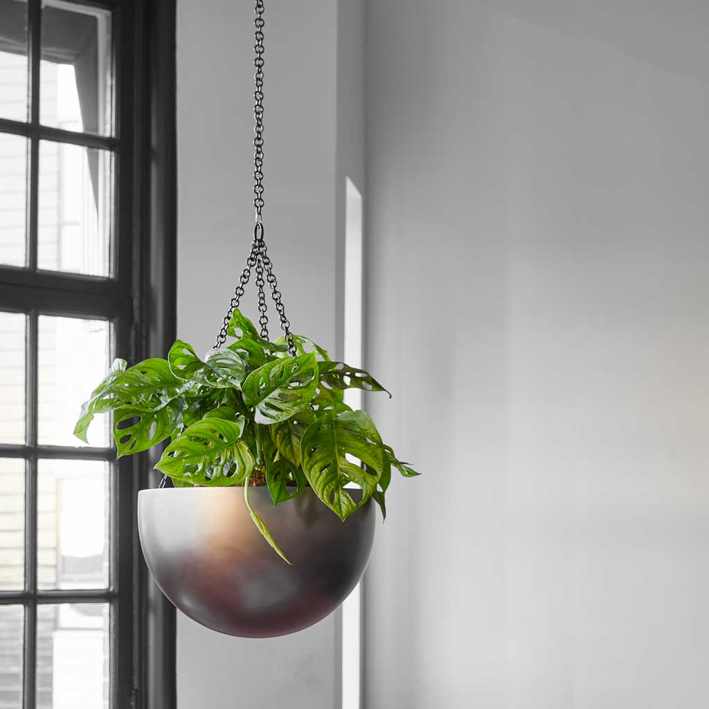 Gradient Hanging Plant Bowl - Matt Coffee & Monkey Mask