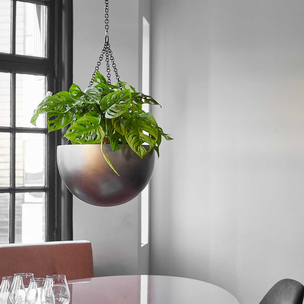Gradient Hanging Plant Bowl Matt Coffee