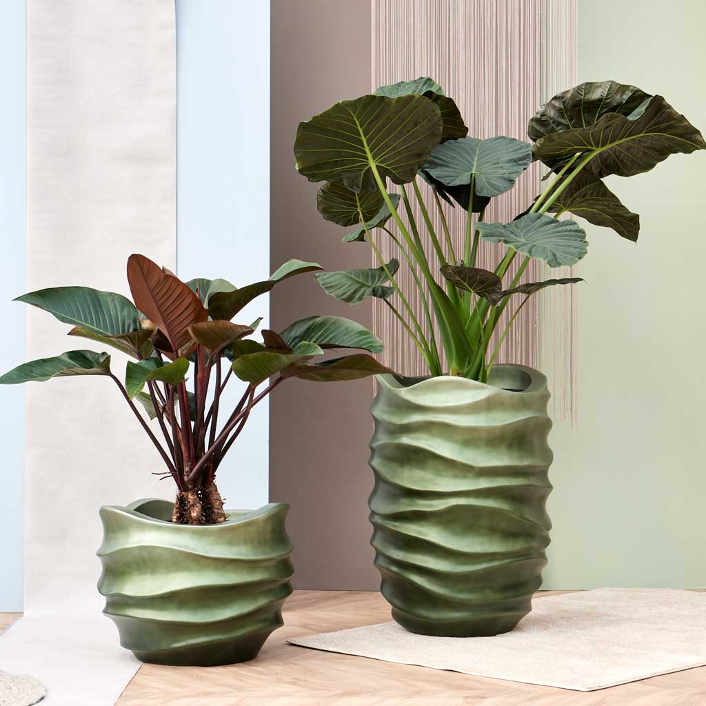 Gradient Lee Couple Planter - Matt Forest & Partner