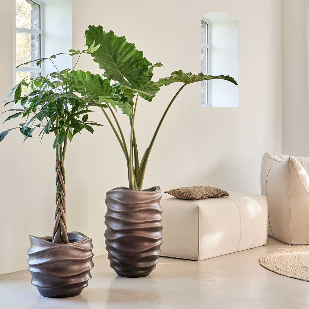 Gradient Lee Couple Planter - Matt Coffee In Neutral Room