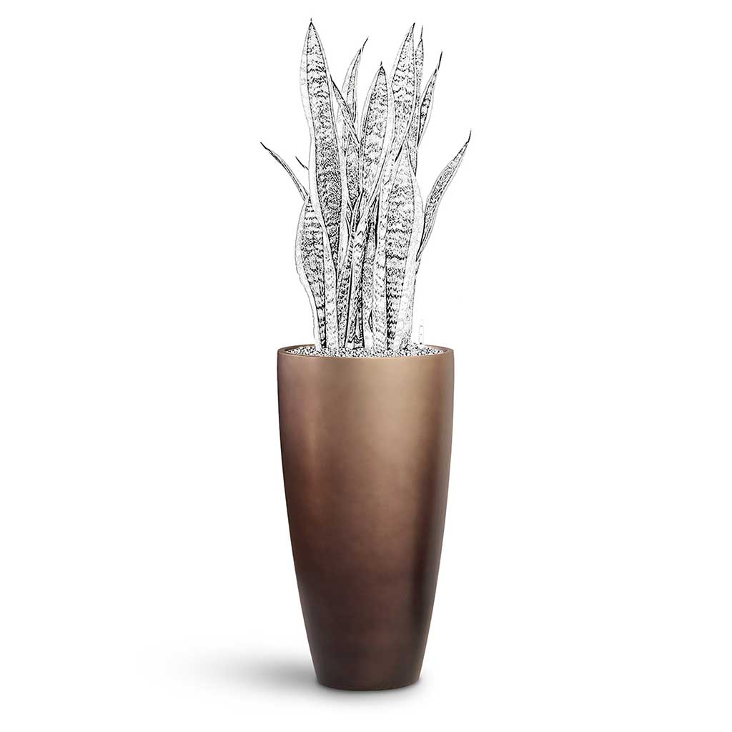Gradient Partner Planter - Large Plant Display