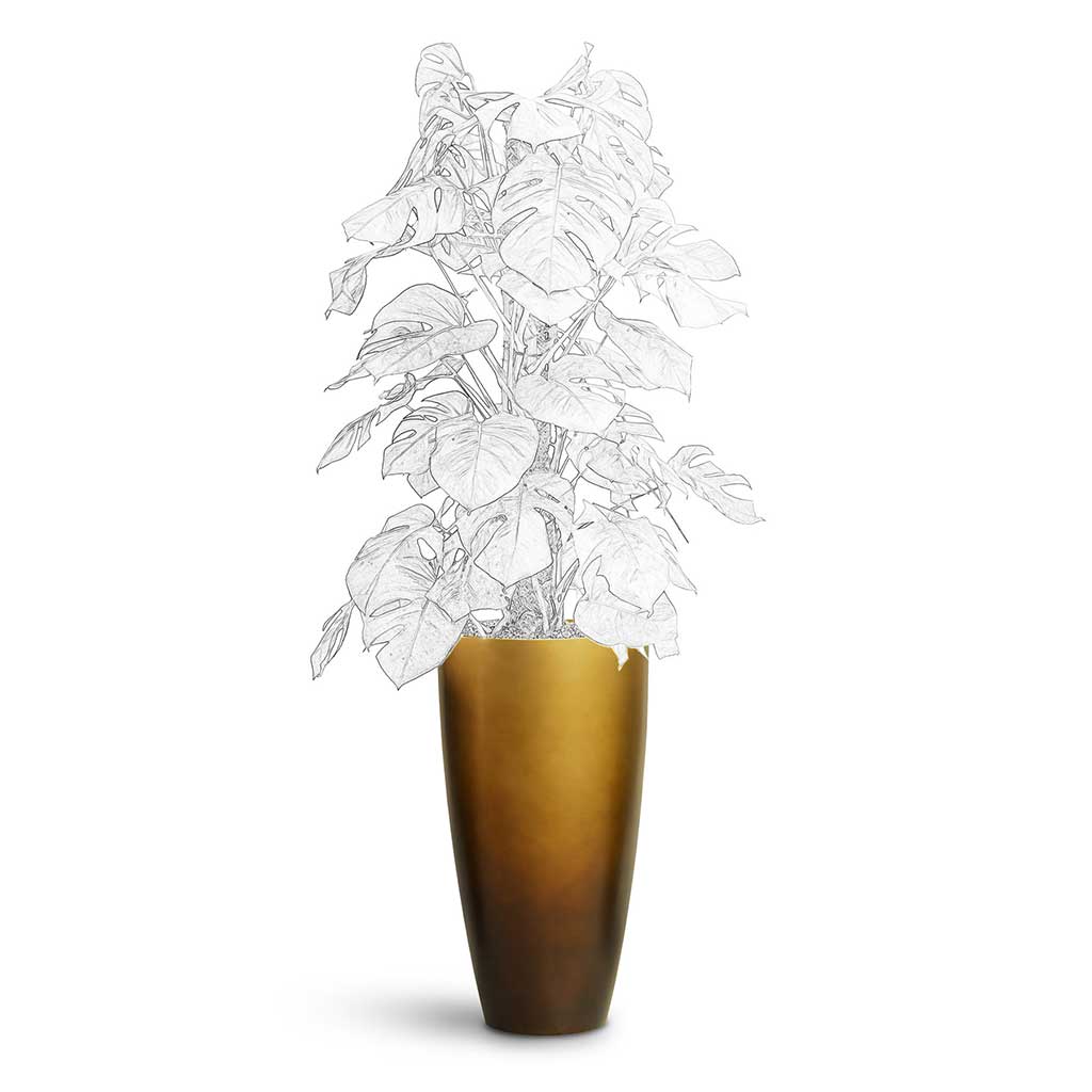 Gradient Partner Planter - XL Plant Display
