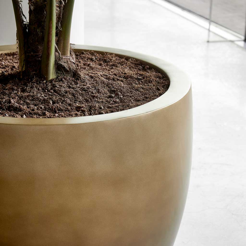 Gradient Couple Planter - Matt Honey L