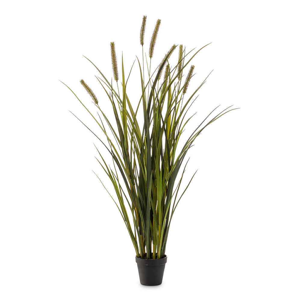 Grass Cattail en Rough Artificiel collé