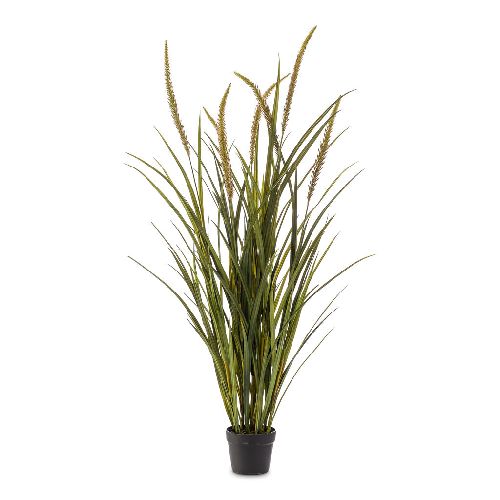 Grass Foxtail Artificial - 130cm - (7 Stems)