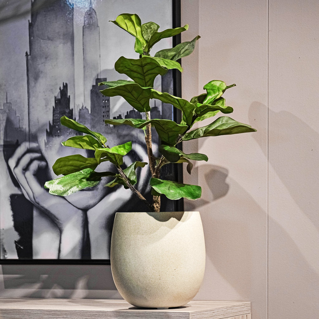 WELLHOME Pot de fleur en polyéthylène rotomoulé taupe 40x40 CM | Leroy Merlin WELLHOME Pot de fleur en polyéthylène rotomoulé taupe 40x40 CM | Leroy Merlin