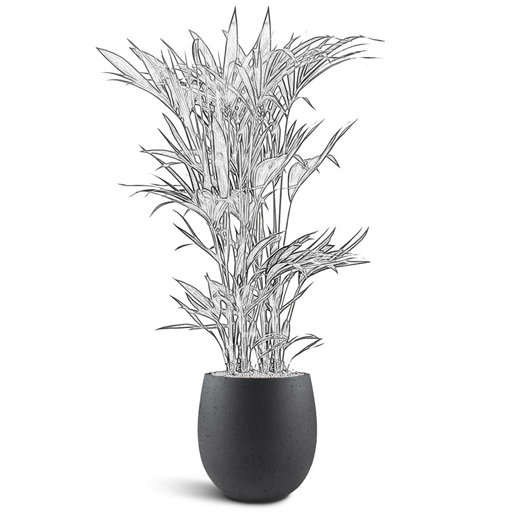 Grigio Balloon Plant Display - XL