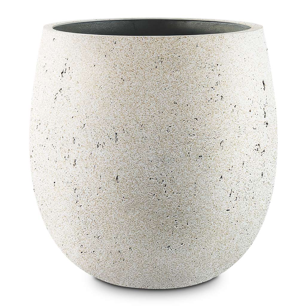 Grigio Balloon Pot Antique White Concrete pot