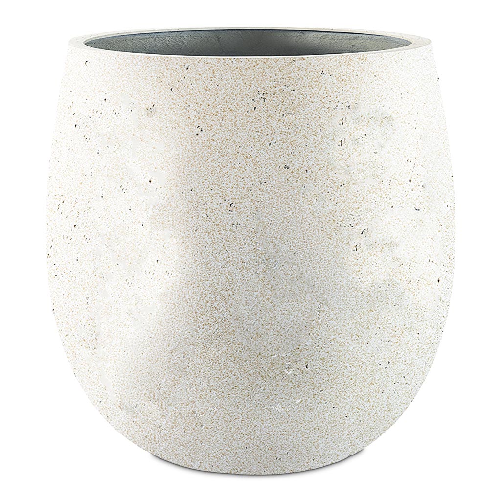Grigio Balloon Pot Antique White Concrete 55x55cm