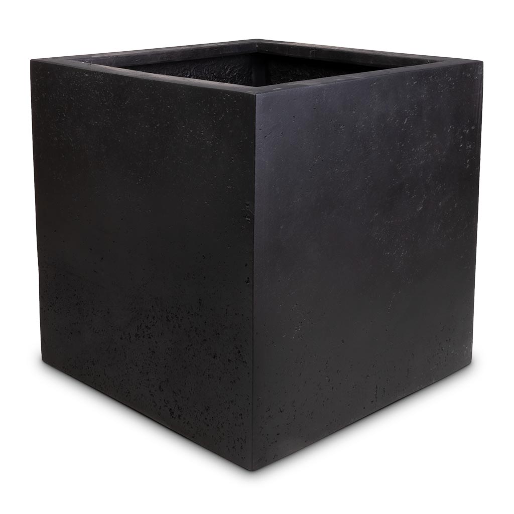 Grigio Cube Planter - Anthracite Concrete - 50 x 50 x 50cm