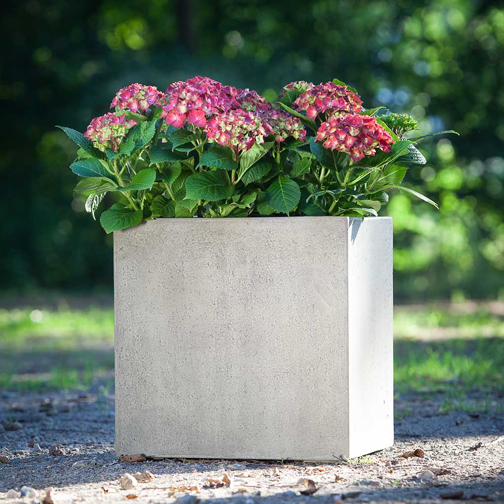 Grigio Cube Planter Antique White Concrete