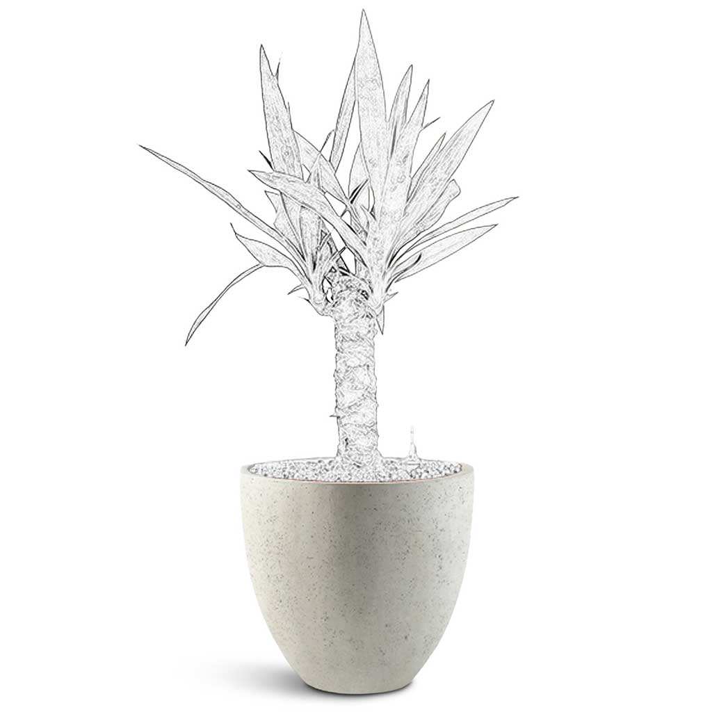 Grigio Egg Pot - Large Plant Display