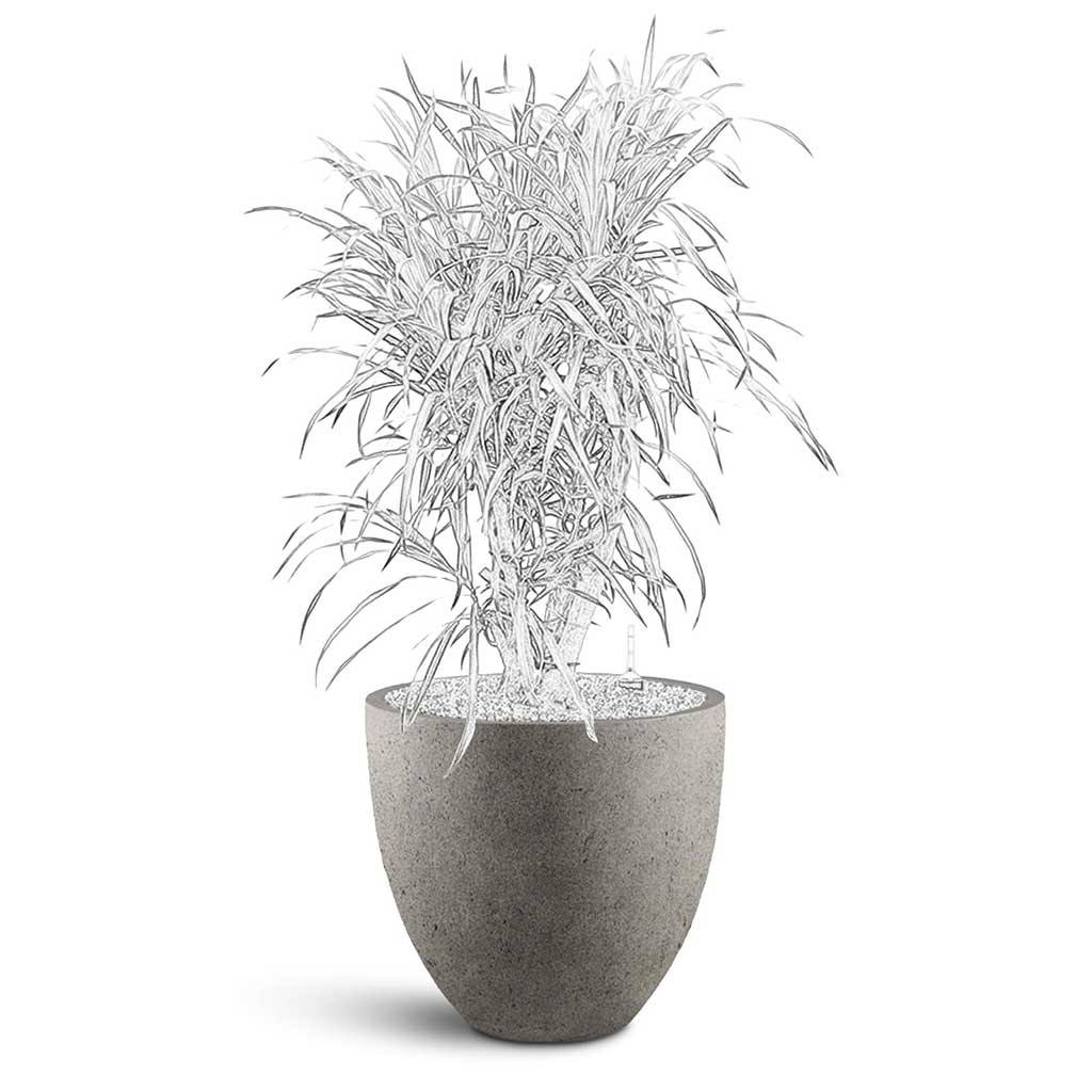Grigio Egg Pot - XL Plant Display