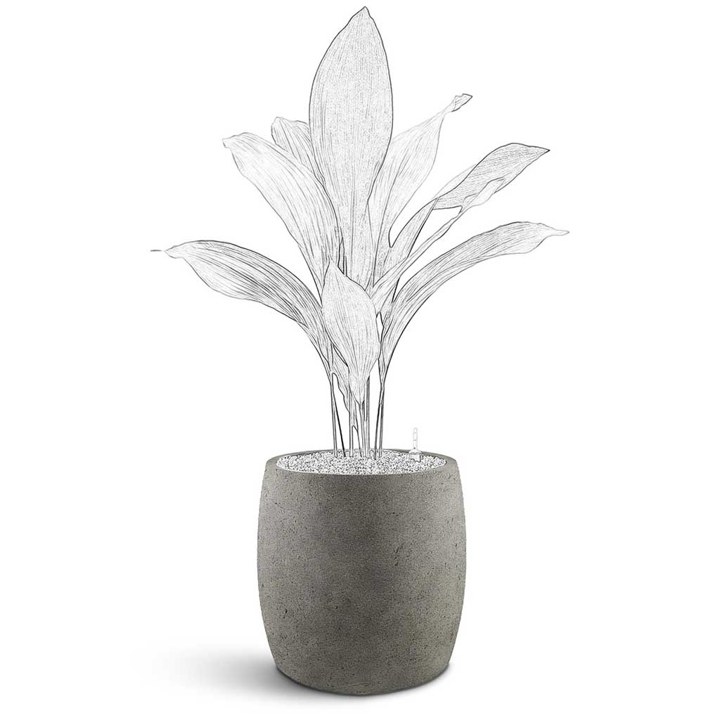 Grigio Modern Planter - XL Plant Display