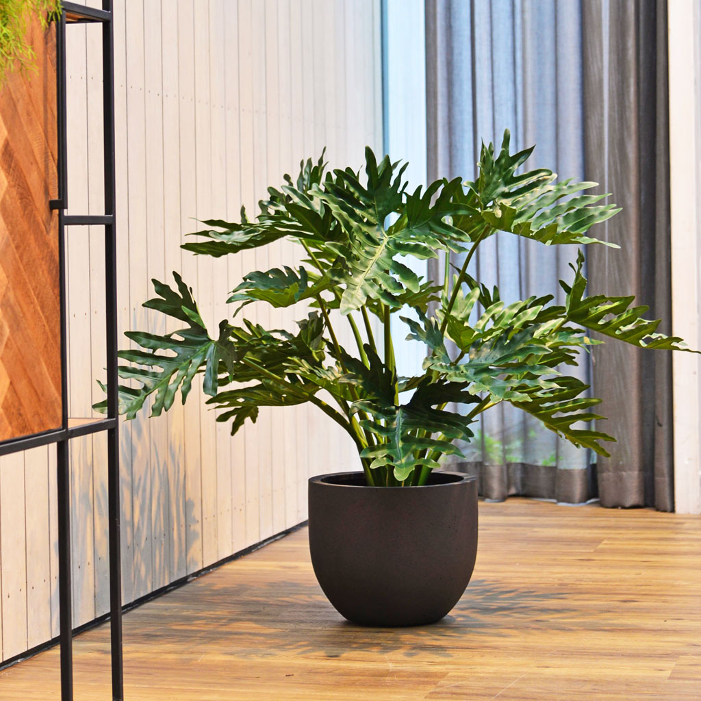 Grigio New Egg Pot Planter - Anthracite Concrete