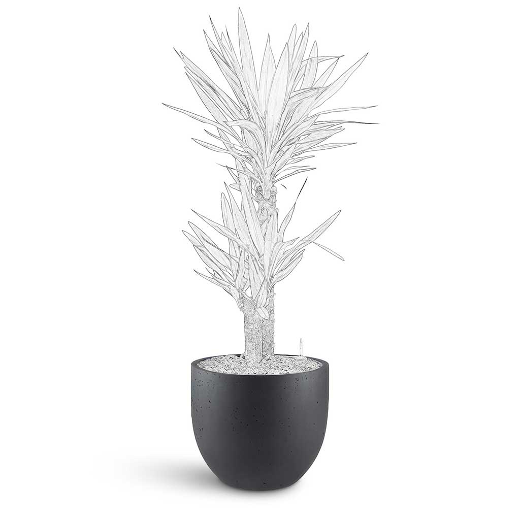 Grigio New Egg Pot - XL Plant Display