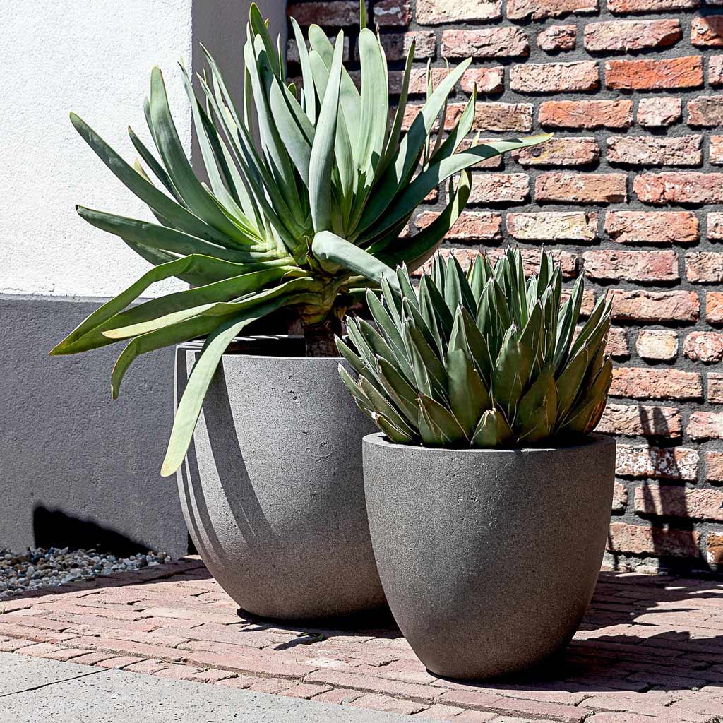 Grigio New Egg Pot Planter - Natural Concrete