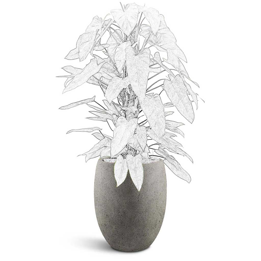 Grigio Tall Balloon - XL Plant Display