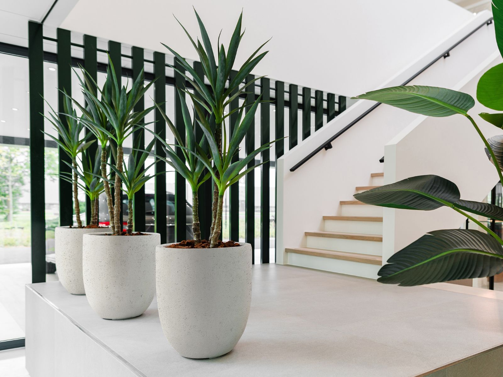 Grigio Tall Balloon - Large Plant Display