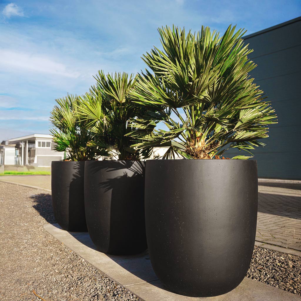 Grigio Tall Egg Pot Planter - Anthracite Concrete