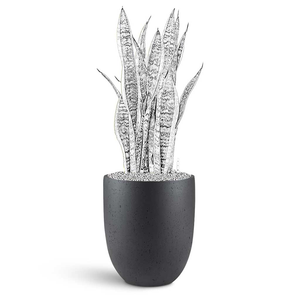 Grigio Tall Egg Pot - Large Plant Display