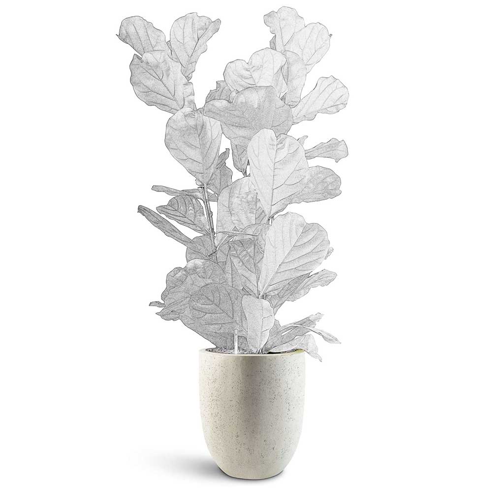Grigio Tall Egg Pot - XL Plant Display