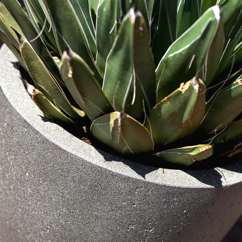 Grigio Tall Egg Pot Planter - Natural Concrete