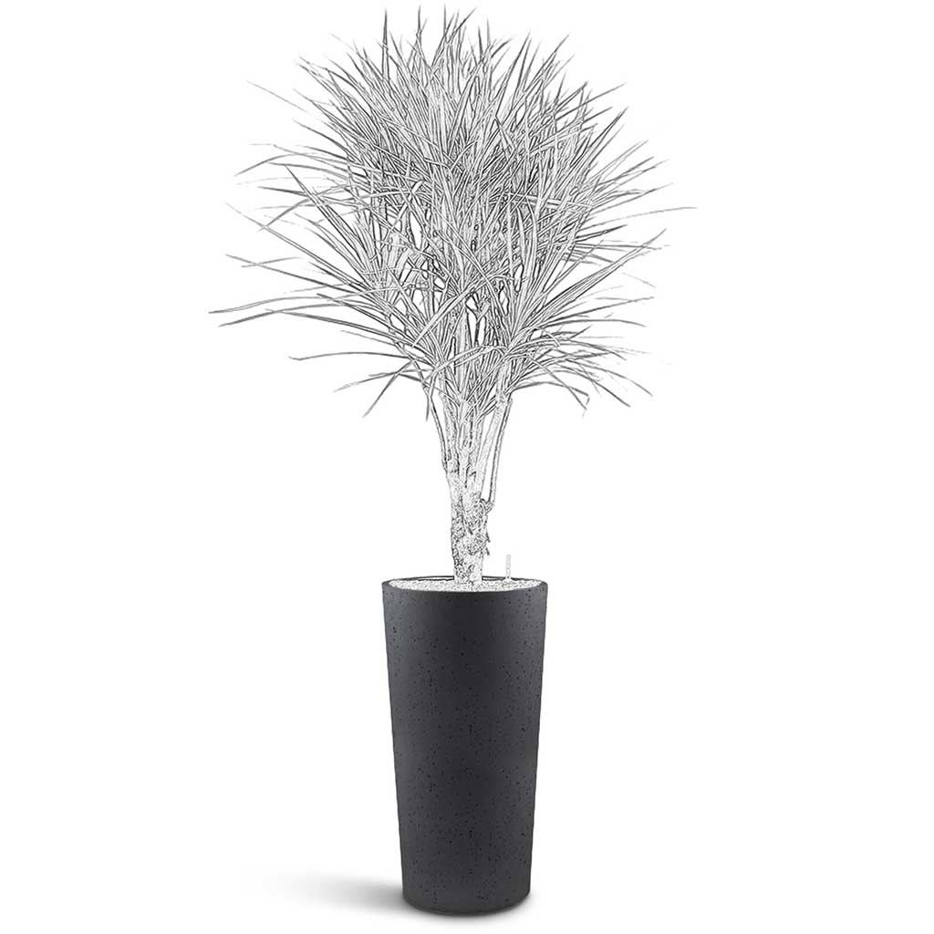Grigio Tall Partner Planter - XL Plant Display