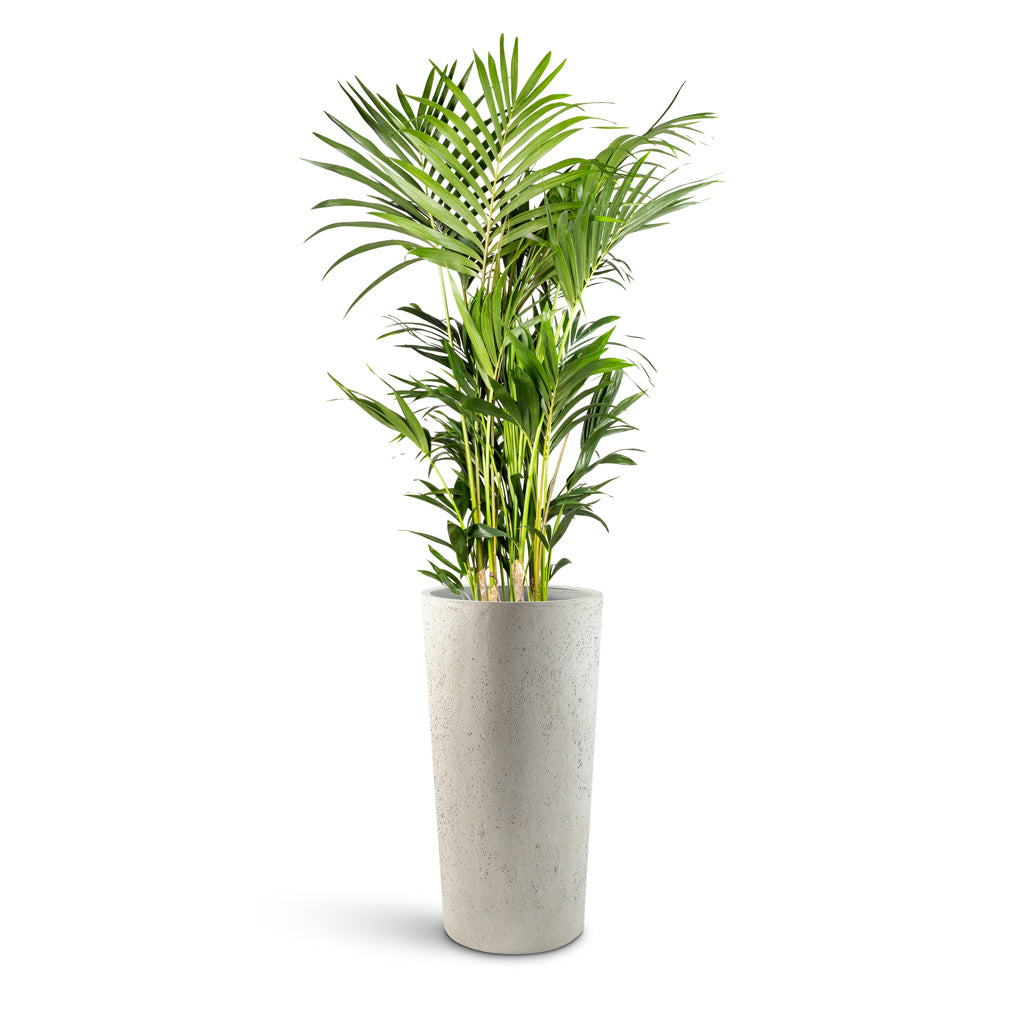 Grigio Tall Partner Planter - Large Plant Display