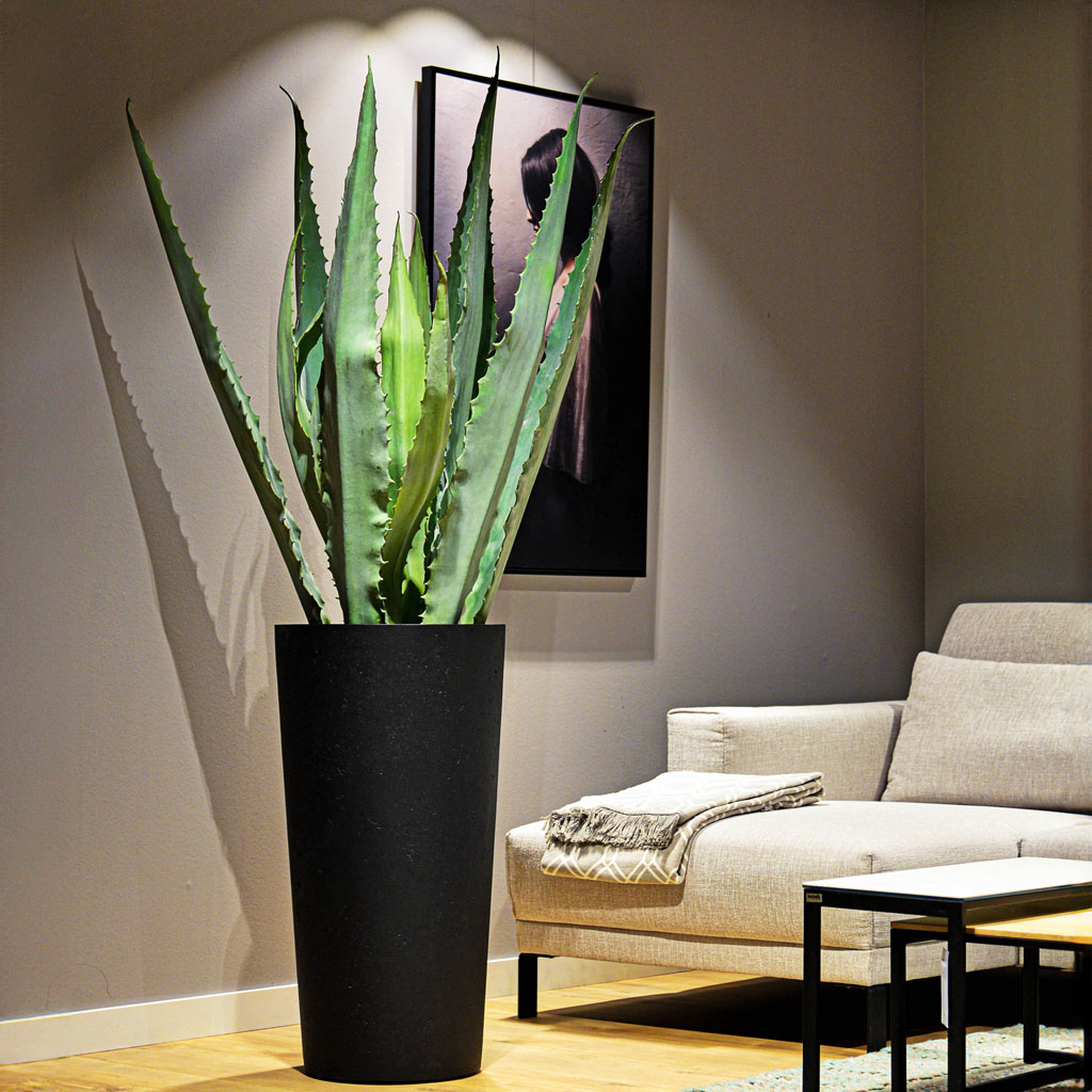 Grigio Tall Partner Planter - Anthracite Concrete