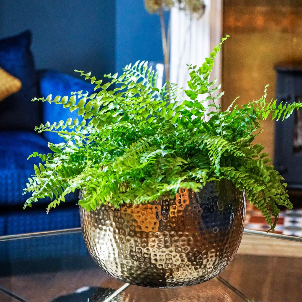 Hammered Bowl - Gold with Black