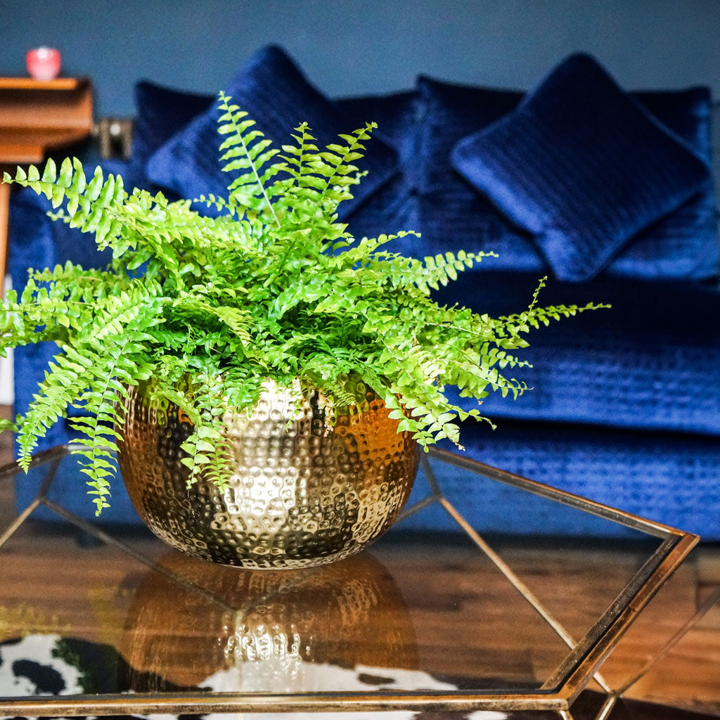 Hammered Bowl - Gold with Black
