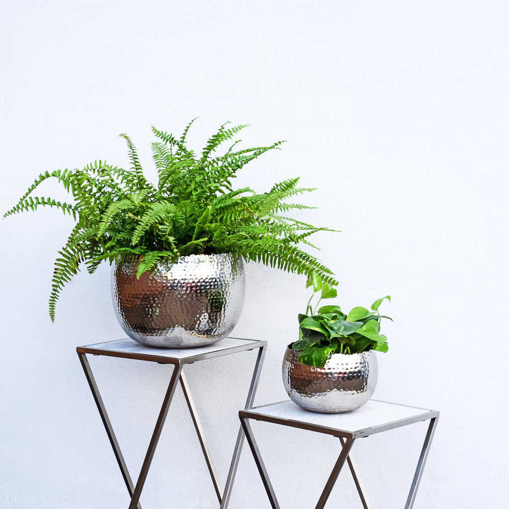 nickel plant pot Hammered Bowl - Nickel with Black - Quality Indoor Plant Pot | Hortology
