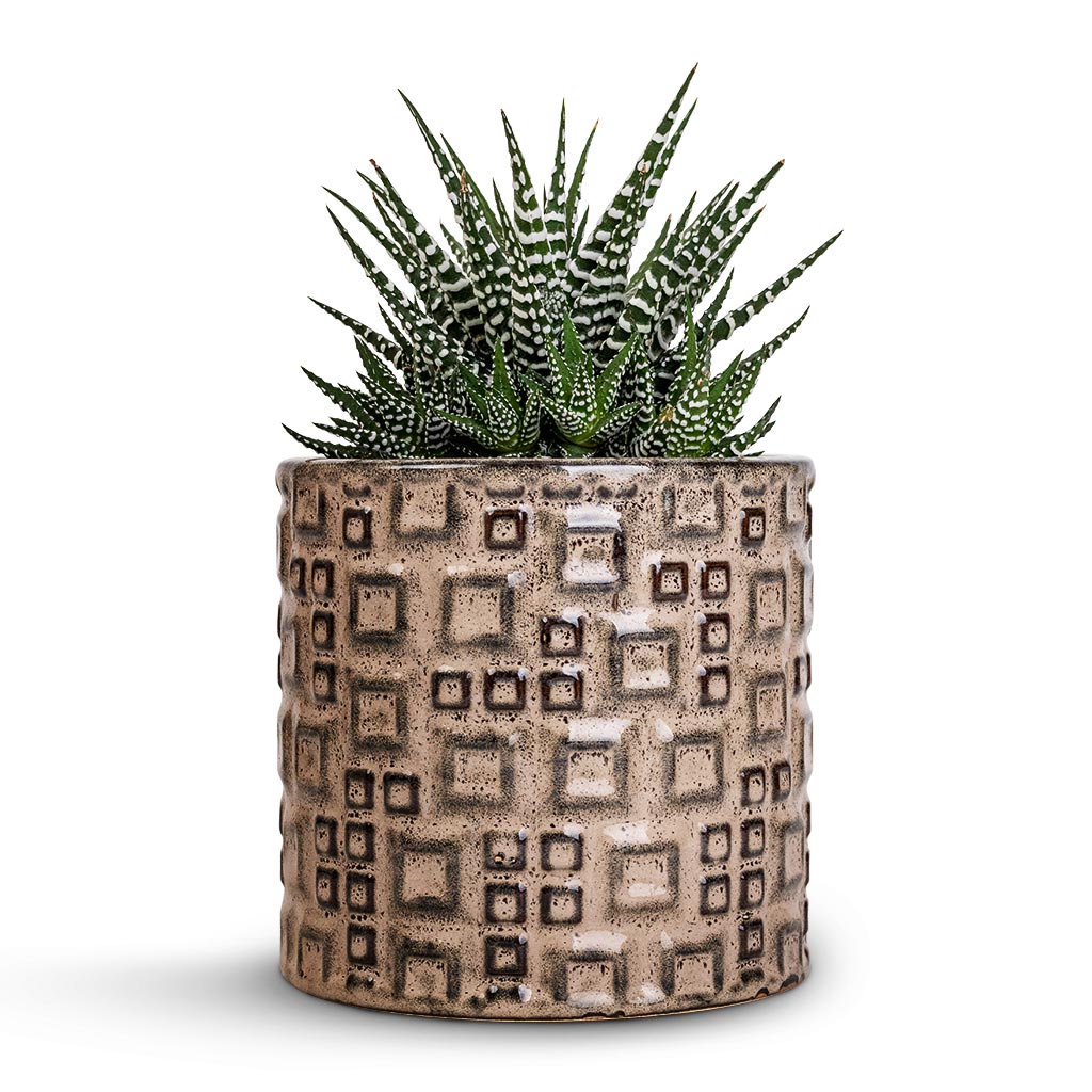 Fiene Plant Pot - Grey