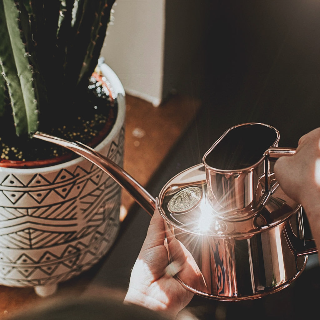 Haws Fazeley Flow - One Pint Copper Watering Cactus