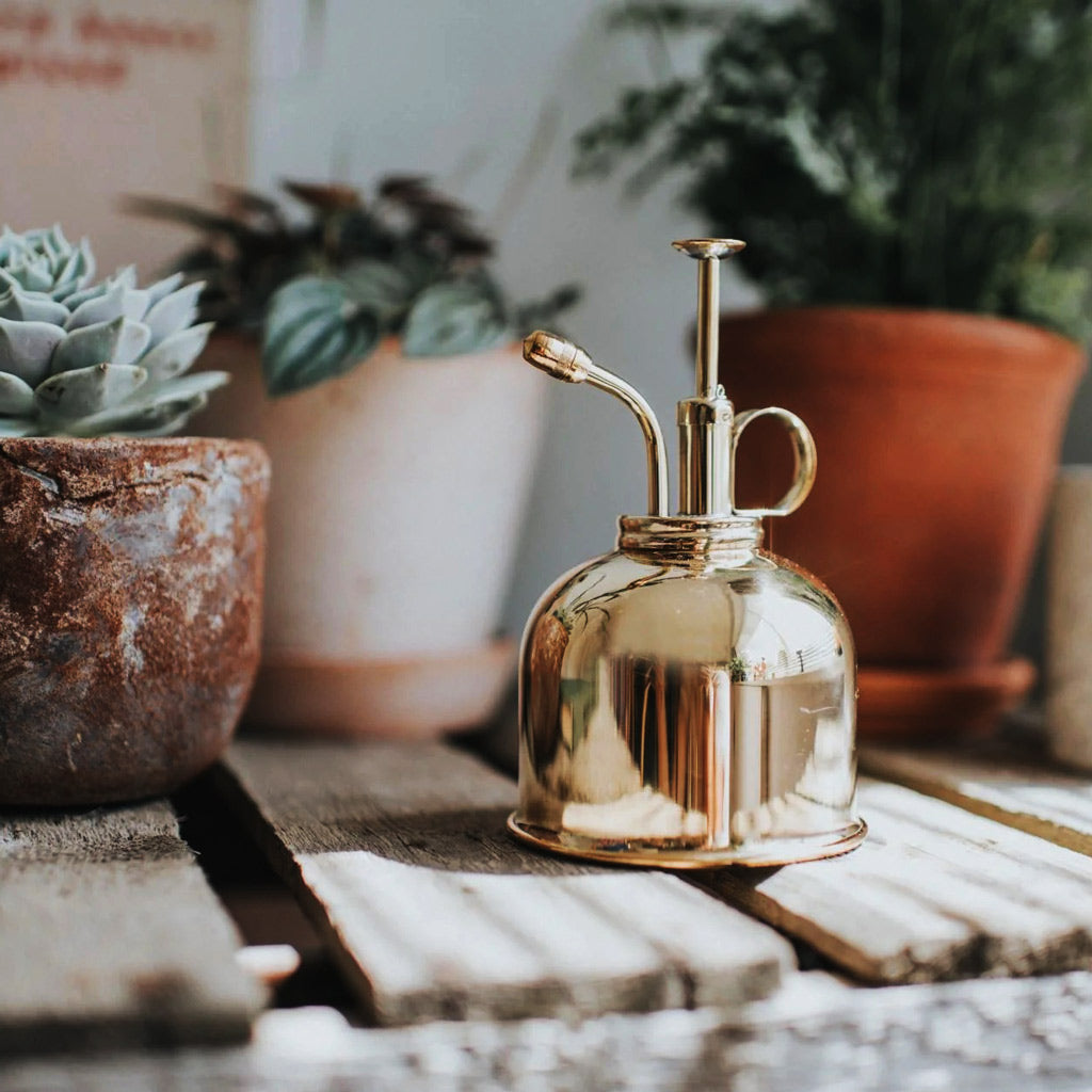 Haws Smethwick Spritzer in Brass Near Succulents