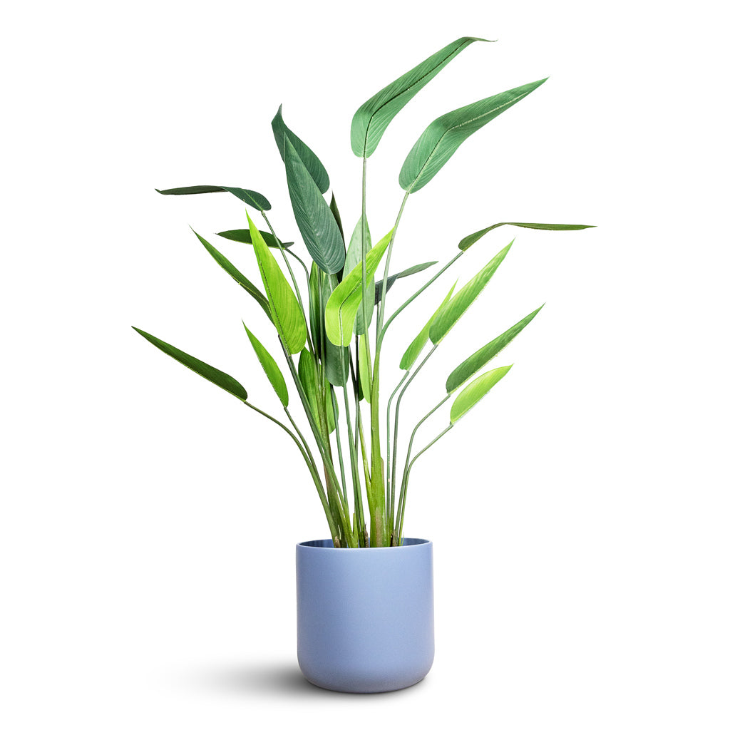 Heliconia Artificial In Lisbon Pot Powder Blue