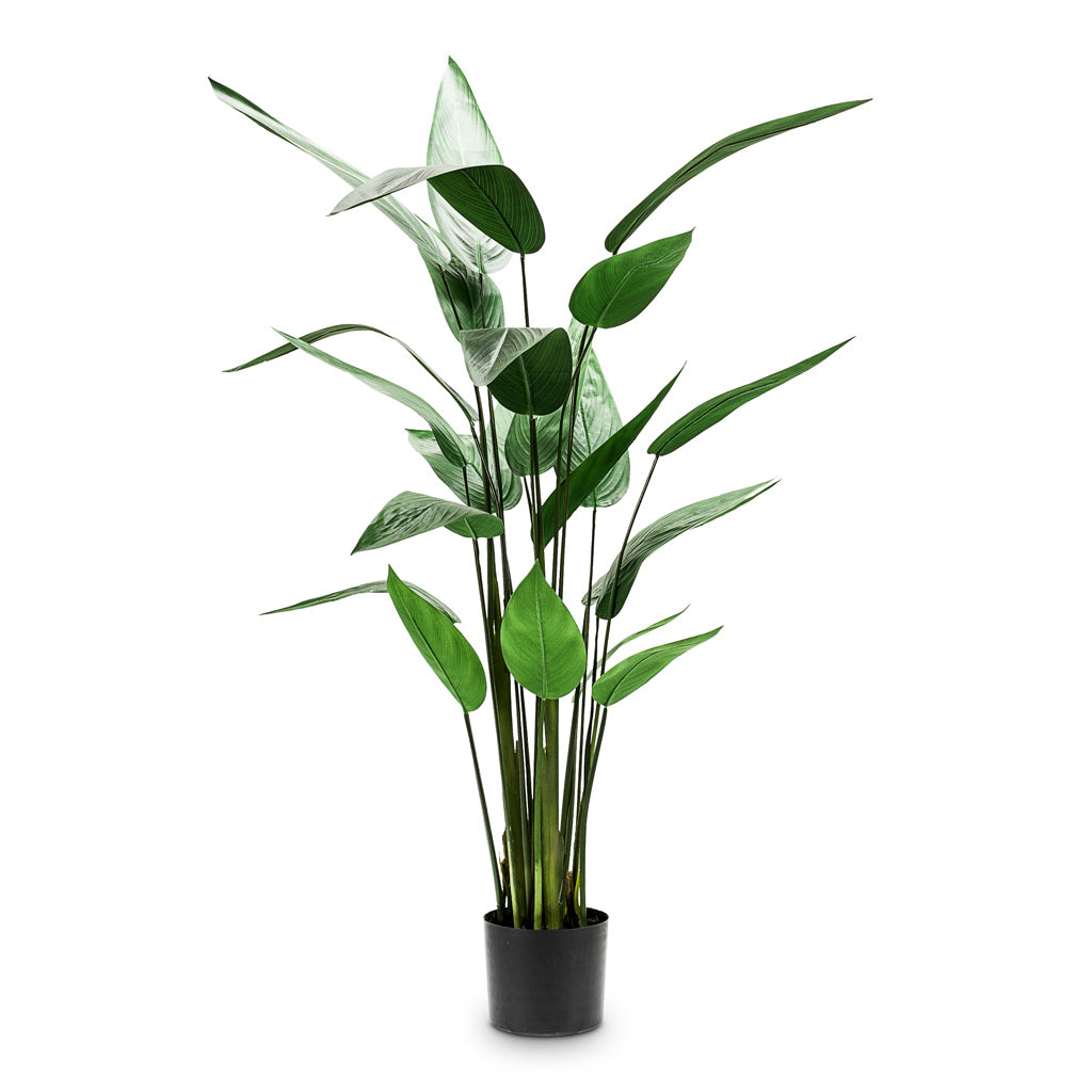 Heliconia Artificial - 125cm