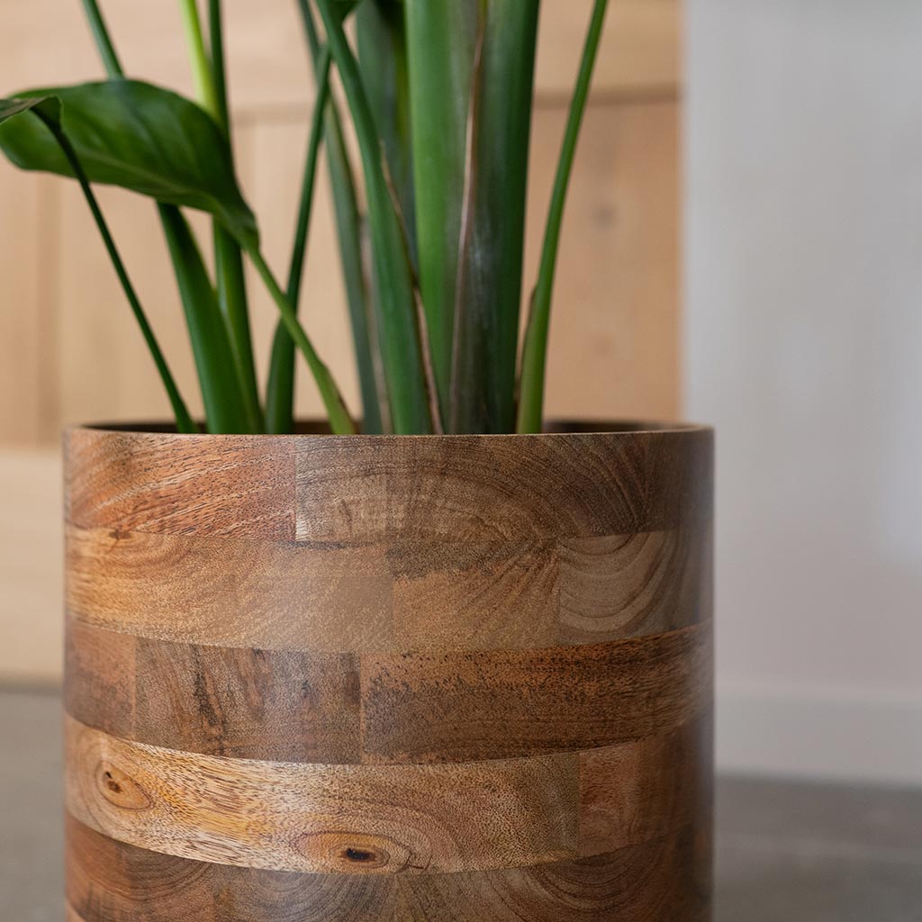 Helle Plant Pot - Natural & Bird of Paradise