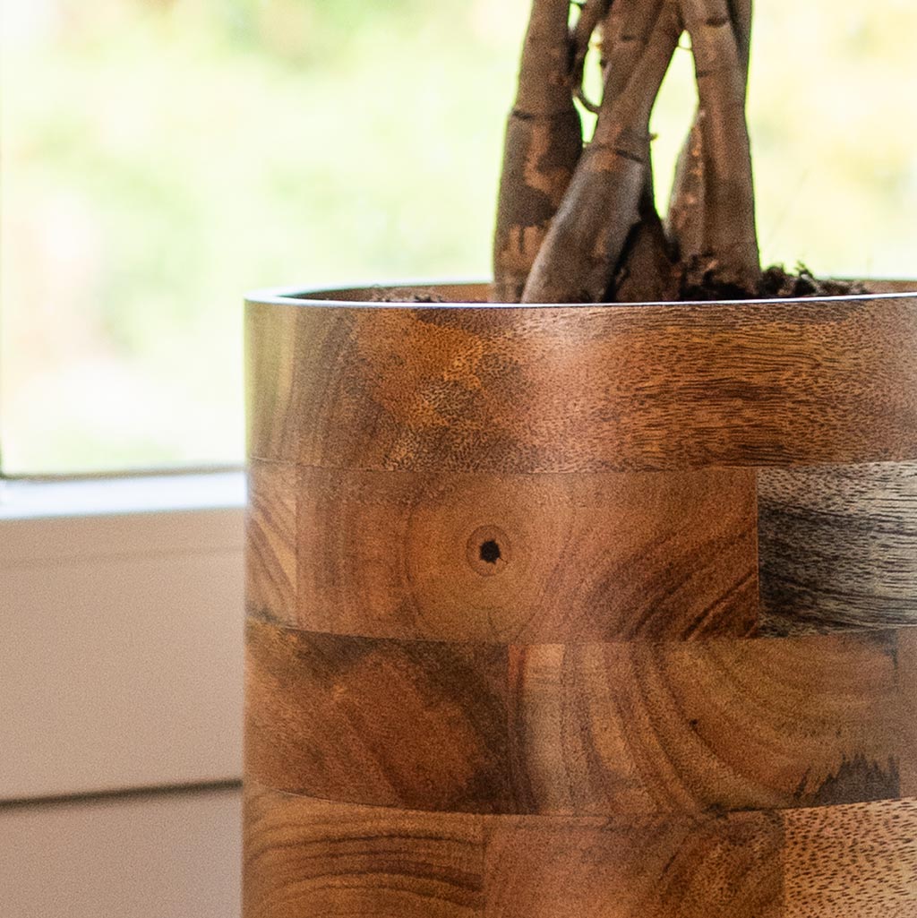 Helle Plant Pot - Natural & Pachira Stems