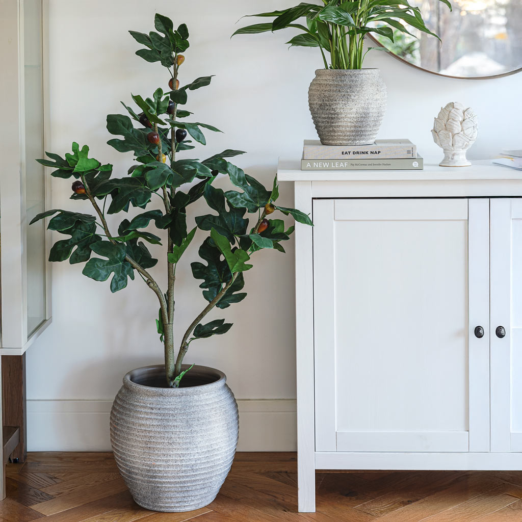 Honey Pot Planter with Indoor Tree