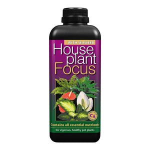 Houseplant Focus - Plant Nutrition - 1 litre