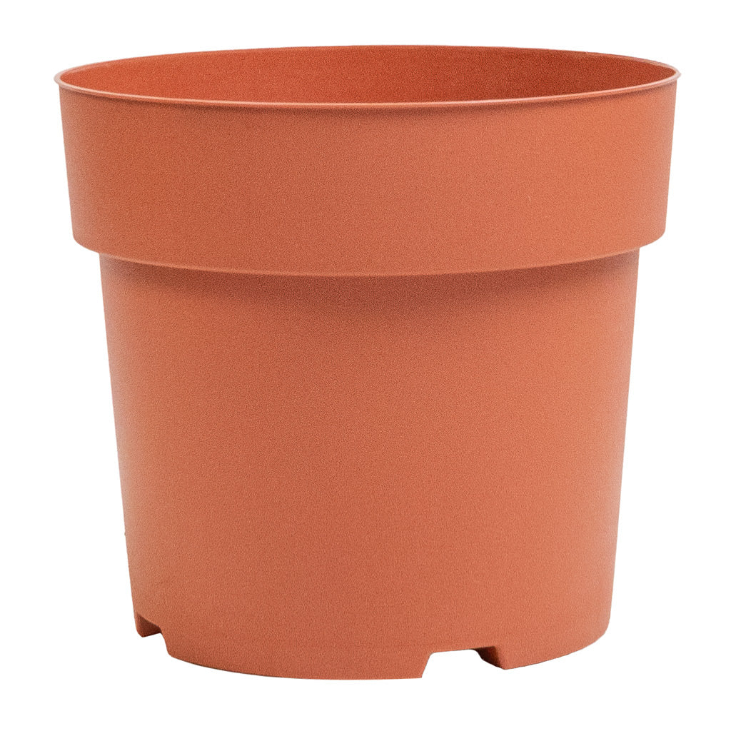 Houseplant Grow Pot - Terracotta - Medium