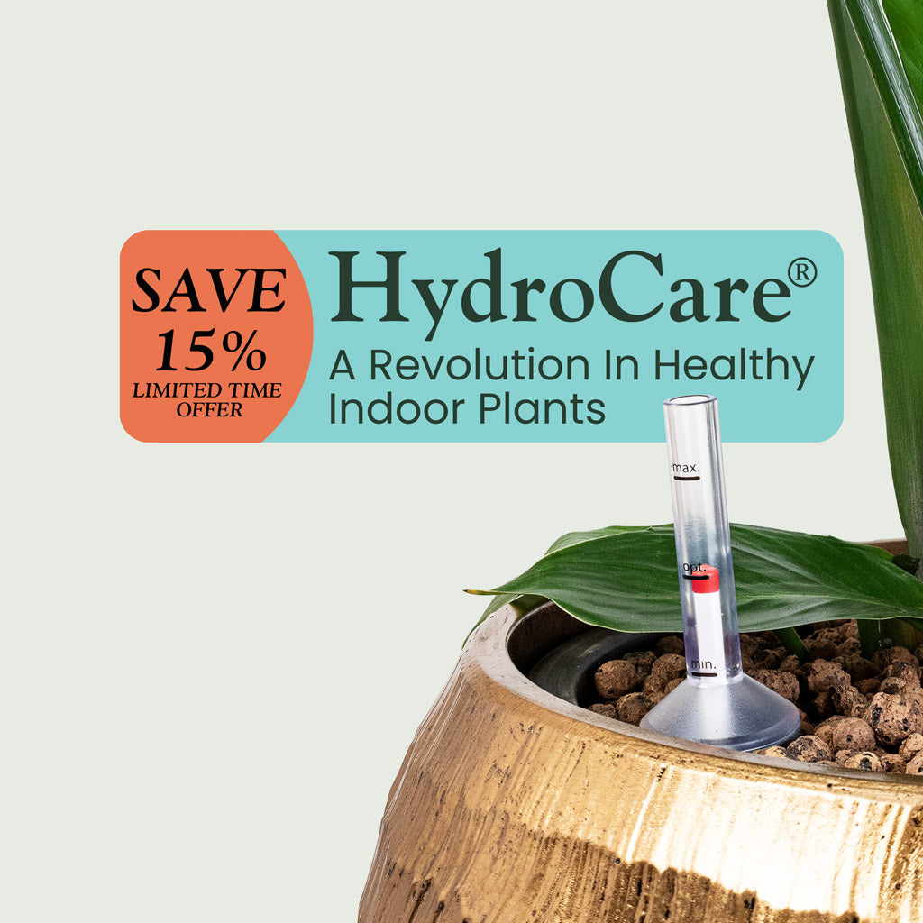 HydroCare® Plants