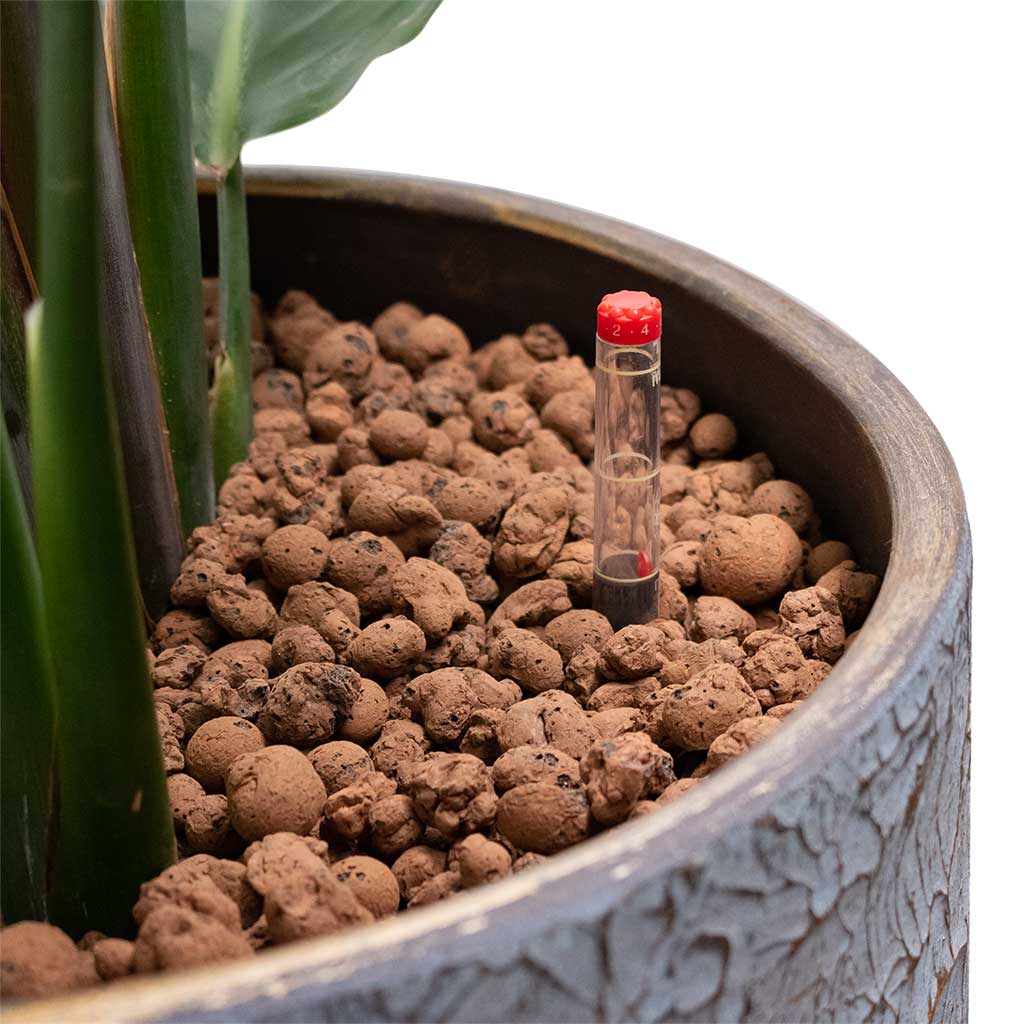 Create Top Layer Of Hydrogranules