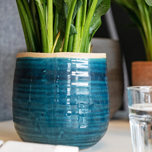 Iris Plant Pot - Turquoise On Desk