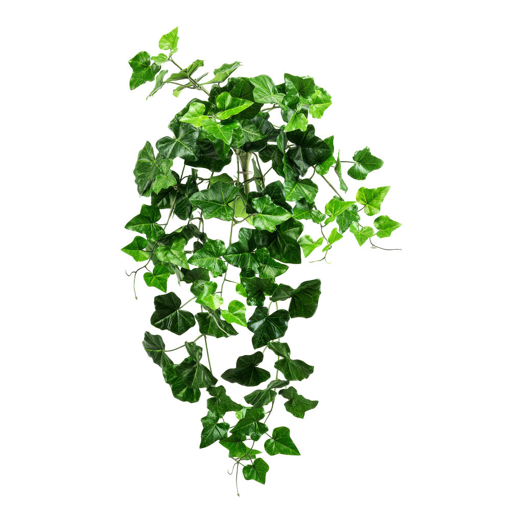 Ivy Hanging Bush FR Green Artificial 60cm